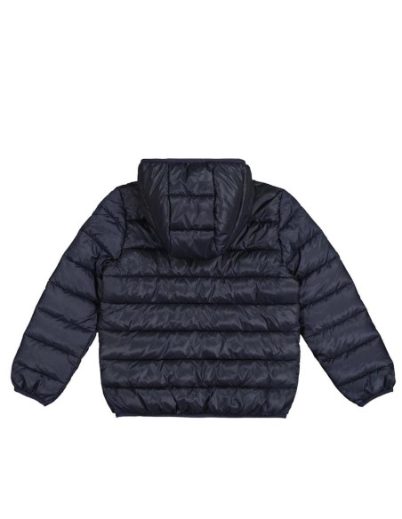 Champion 306868 bs501_2