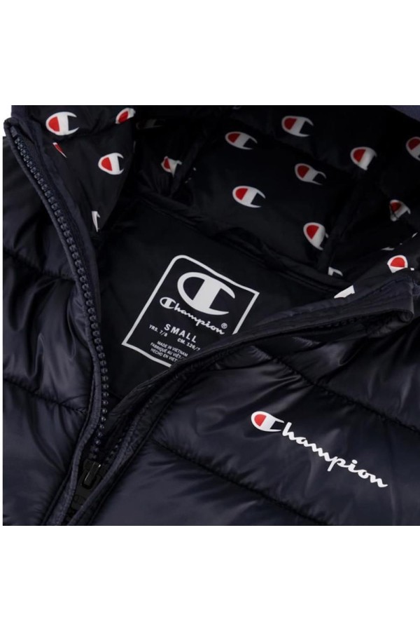 Champion 306868 bs501_3