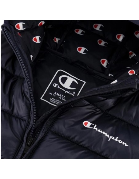 Champion 306868 bs501_3