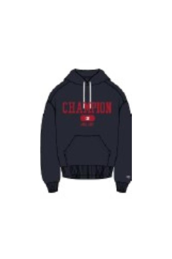 Champion 220430 bs501_1