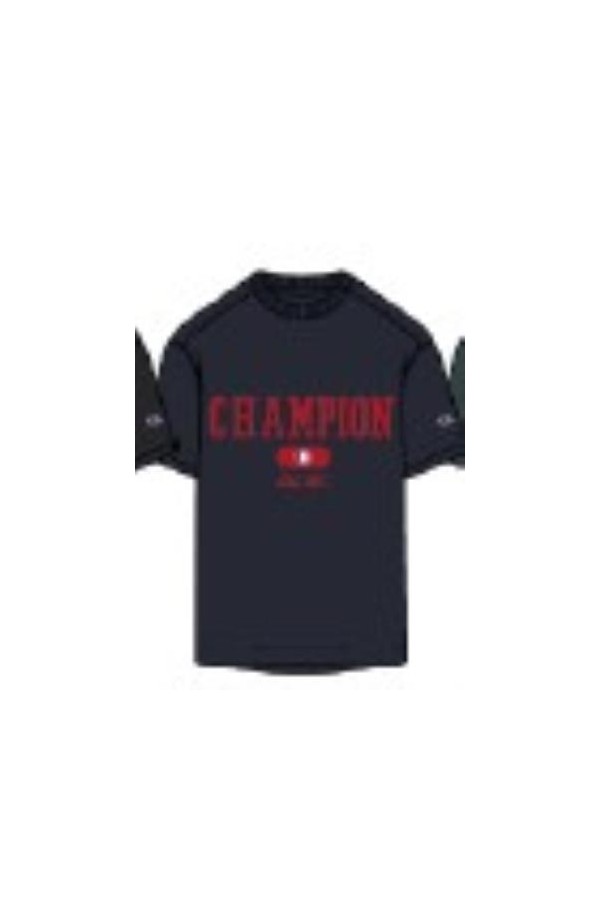 Champion 220432 bs501_1