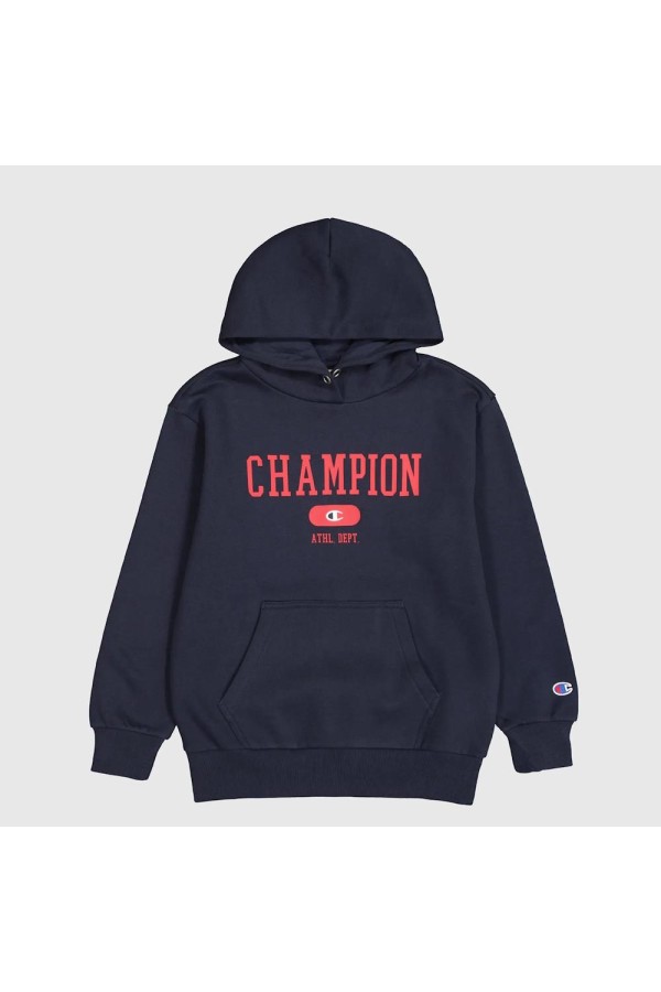 Champion 306796 bs501_1