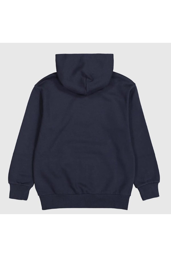 Champion 306796 bs501_2