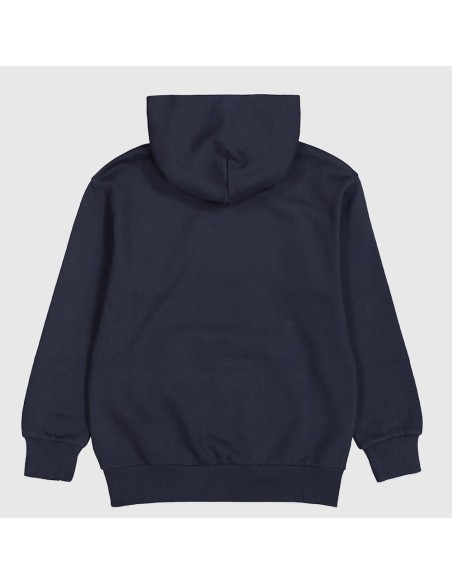 Champion 306796 bs501_2