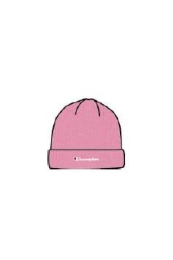 Champion 806064 ps146_1