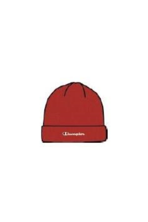 Champion 806064 rs054_1