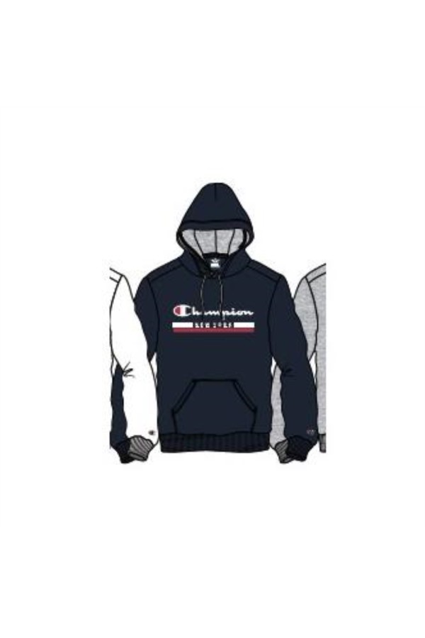 Champion 220245 bs501_1