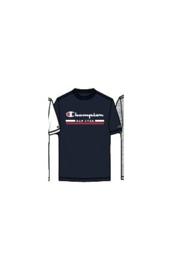 Champion 220249 bs501_1