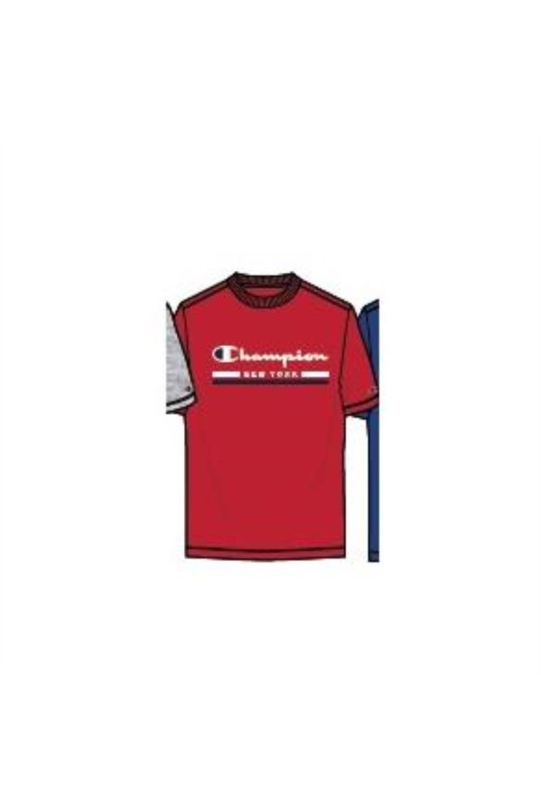 Champion 220249 rs011_1