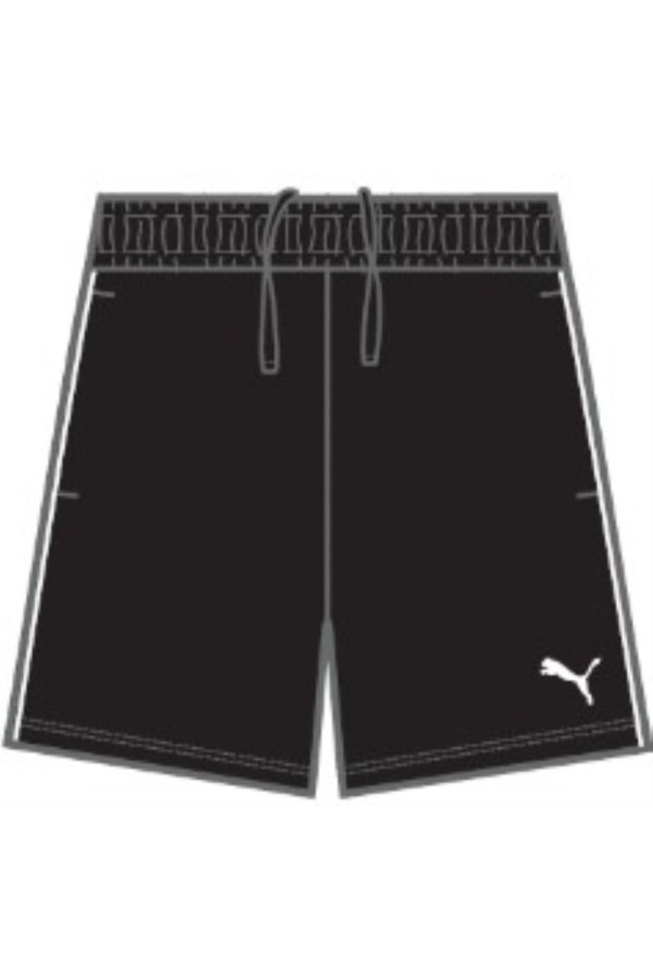 Puma 690507 01_1