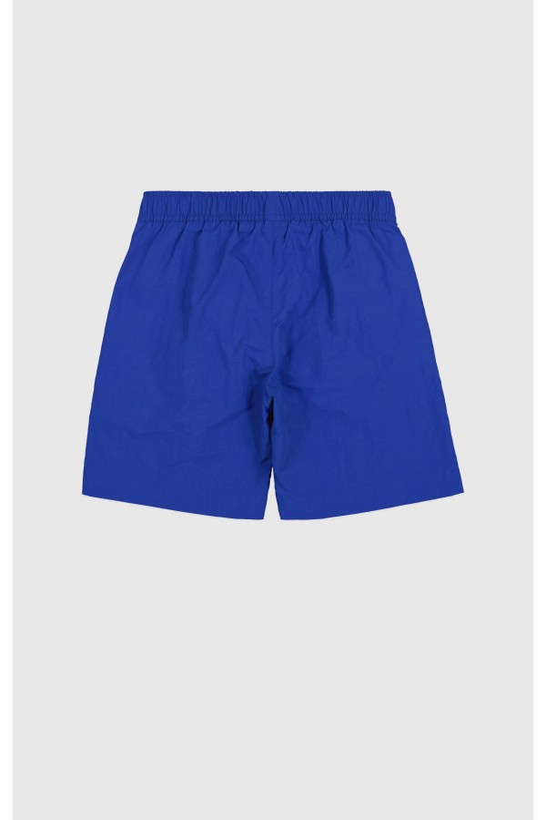 Champion 306771 bs008_1