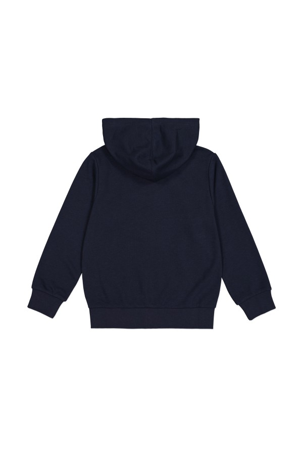 Champion 306984 bs501_1
