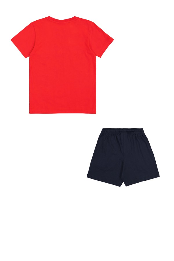 Champion 306991 rs011_1