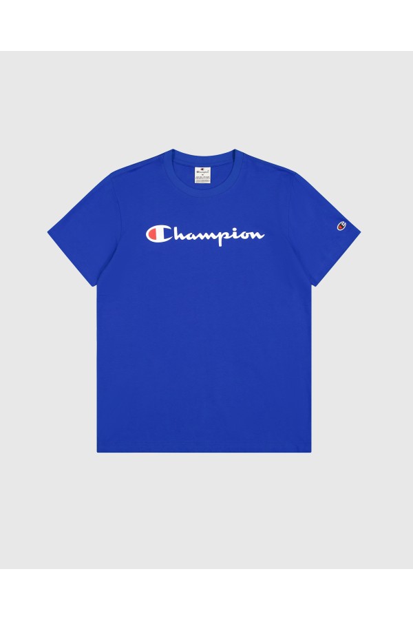 Champion 220256 bs008_1