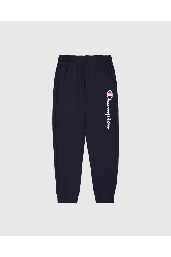 Champion 220732 bs501_1
