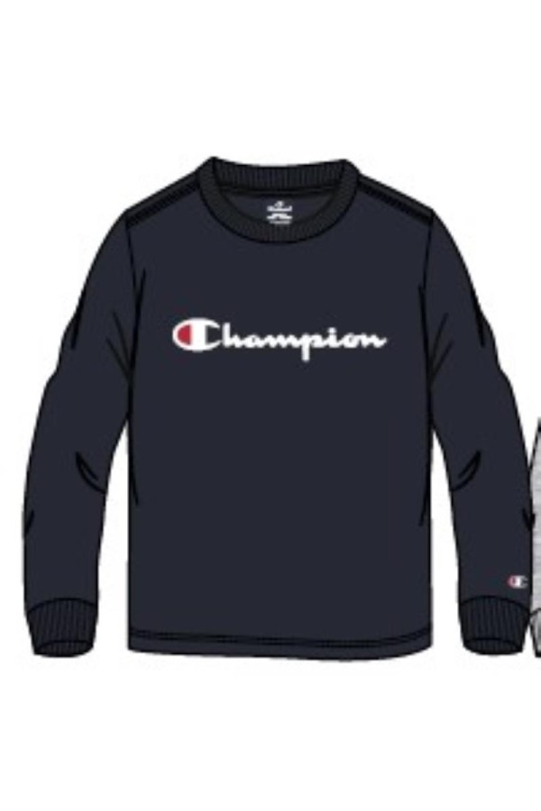 Champion 306834 bs501_1