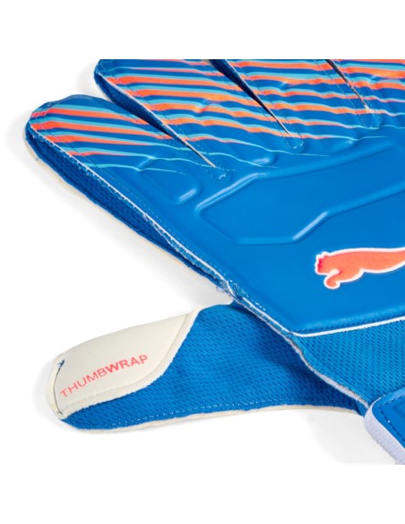 Puma 042084 01_2