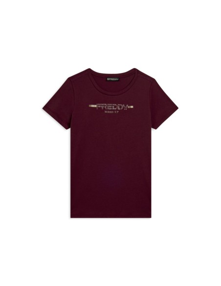 Freddy 25WCRT1 fig_1