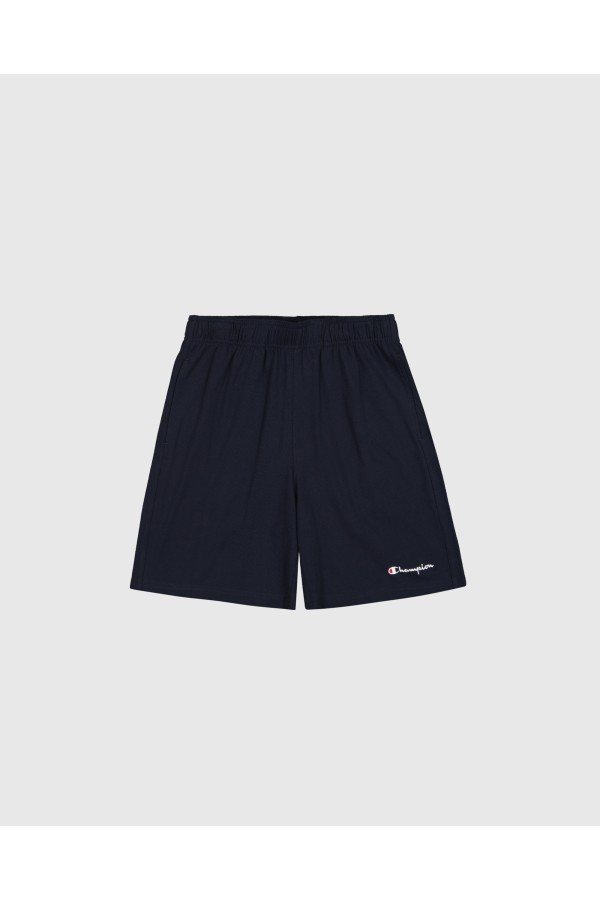 Champion 220306 bs501_1