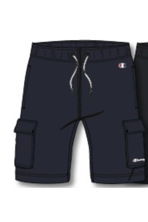 Champion 306752 bs501_1