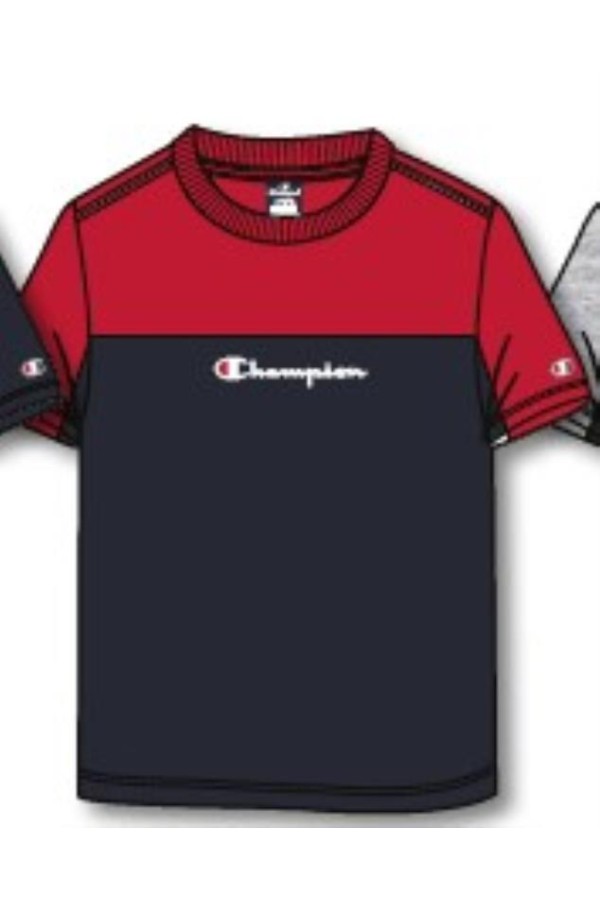 Champion 306755 bs501_1