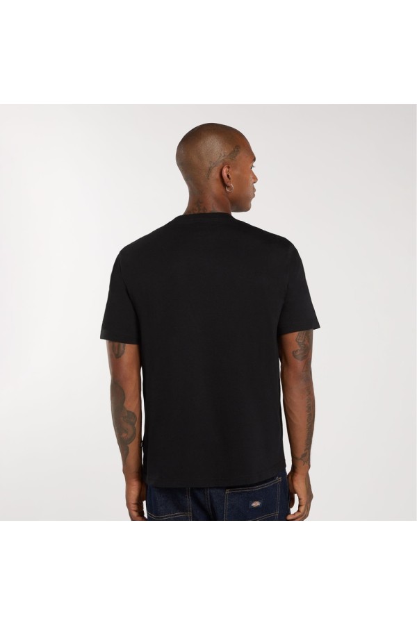 Dickies A4XDB blk1_3