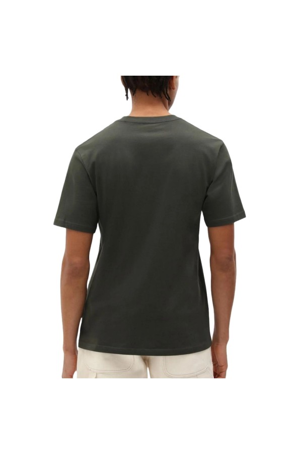 Dickies A4XDB ogx1_3