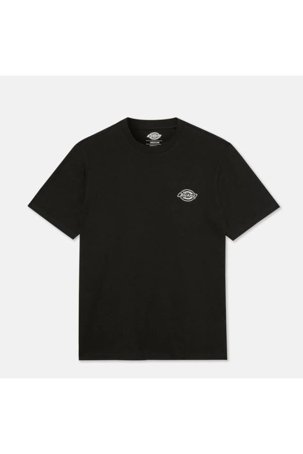 Dickies A4YAI blk1_1