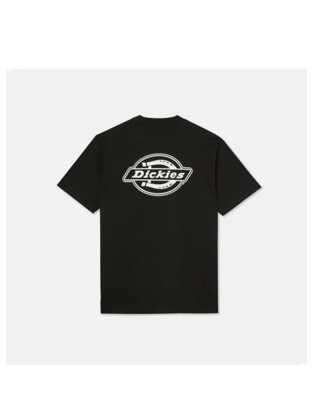 Dickies A4YAI blk1_3