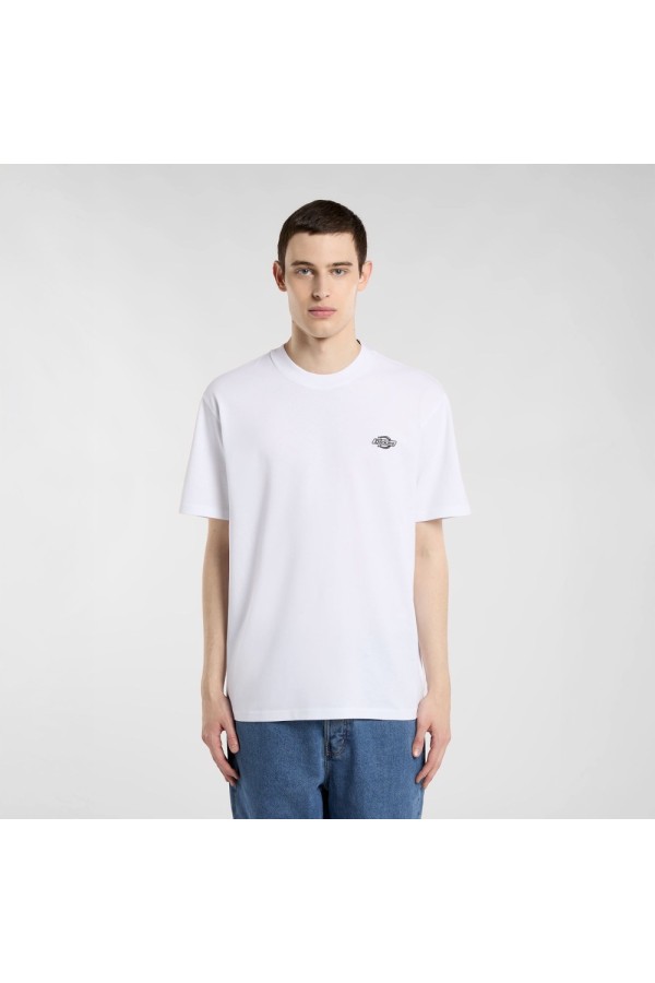 Dickies A4YAI whx1_1