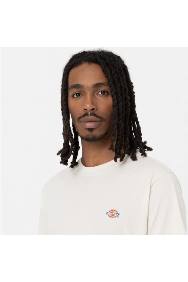 Dickies A4XDB f901_3