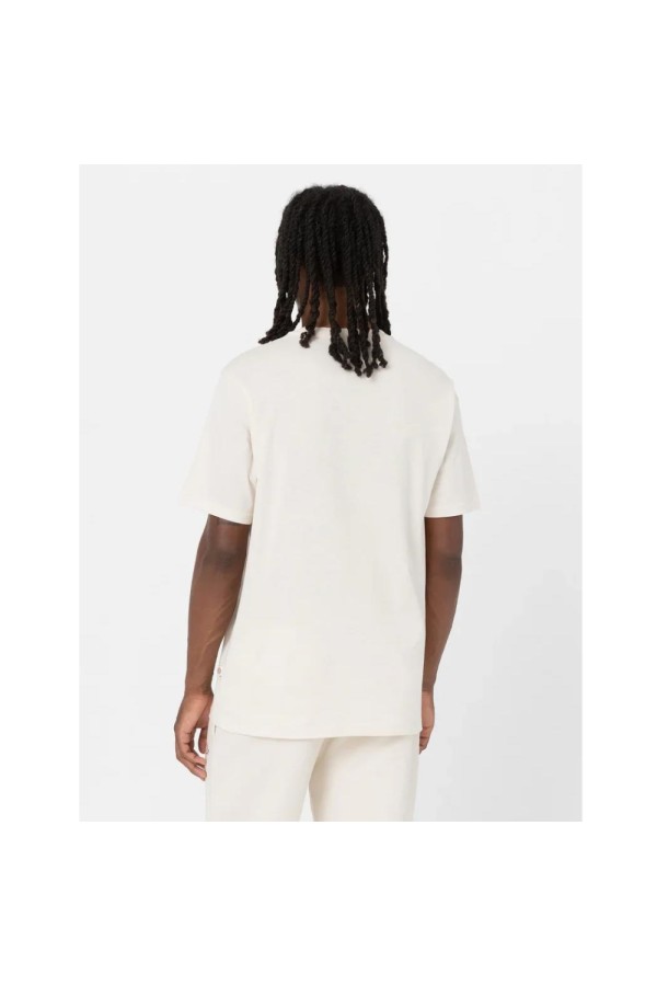 Dickies A4XDB f901_4