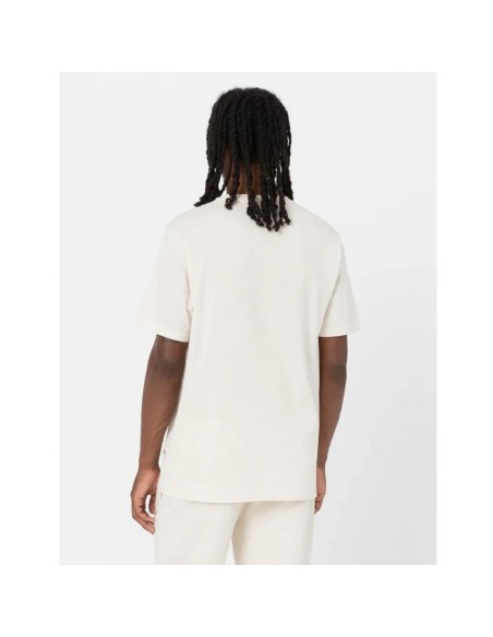 Dickies A4XDB f901_4
