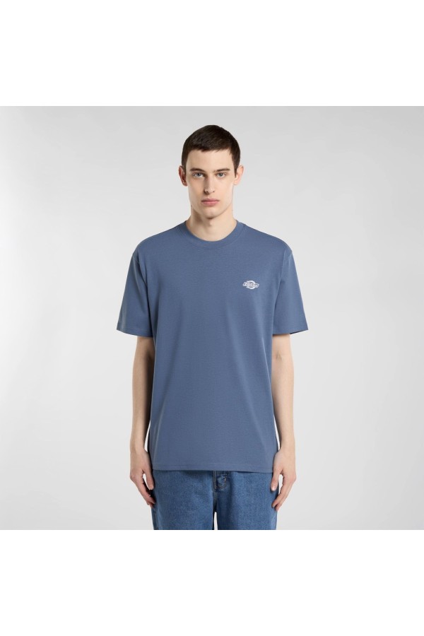 Dickies A4YAI ri21_1