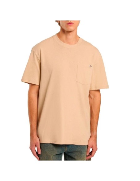 Dickies A4YFC l171_3