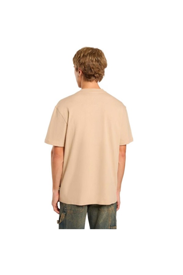 Dickies A4YFC l171_4