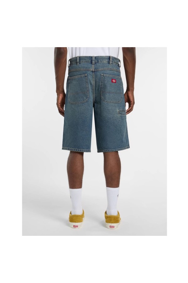 Dickies A88FC l231_2