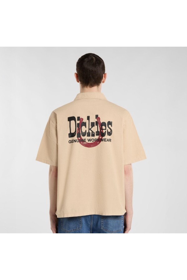 Dickies A88O8 l171_1