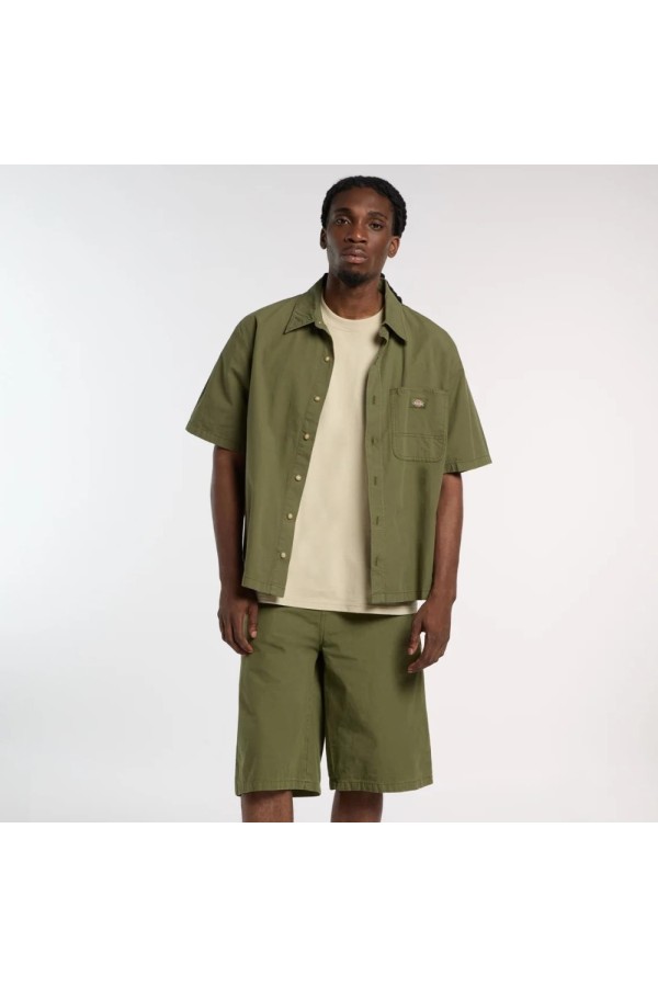 Dickies A88O8 k721_1
