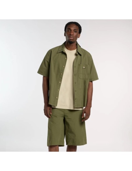 Dickies A88O8 k721_1