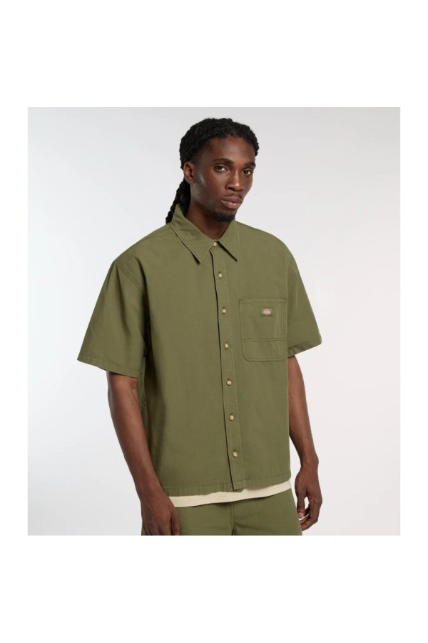 Dickies A88O8 k721_2