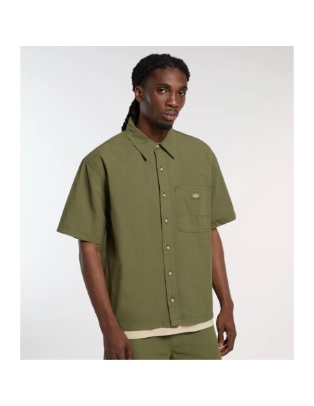 Dickies A88O8 k721_2
