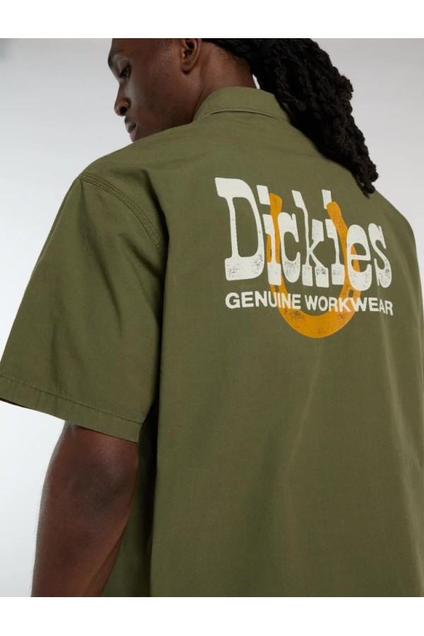Dickies A88O8 k721_3