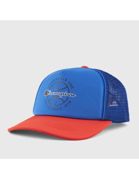 Champion 805959 bs003_1