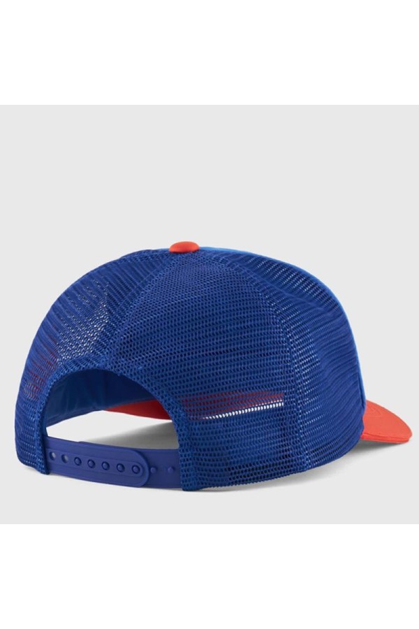 Champion 805959 bs003_1 2