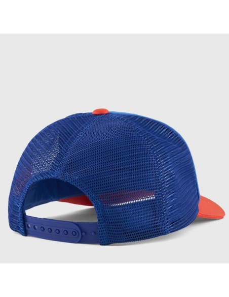 Champion 805959 bs003_2